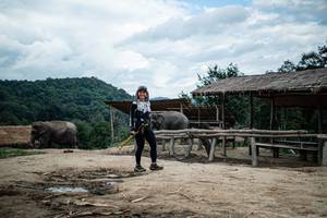 BIB: 
                            <button type="button" onclick="openModal(22423468)" class="btn btn-primary btn-sm float-right btn-popup" data-toggle="modal" data-target=".modal-high-quality">
                        <i class="fas fa-shopping-cart"></i> Add to Cart
                    </button>
                                            <button type="button" onclick="isThisMe(22423468, true)" class="btn btn-success btn-sm float-right btn-popup btn-isme hidden" data-toggle="tooltip" data-placement="bottom" title="นี่คือรูปของคุณใช่ไหม คลิกที่นี่เพื่อเอาเข้าอัลบั้ม">
                        <i class="fas fa-plus"></i> Add to album
                    </button>
                    <button type="button" onclick="isThisMe(22423468, false)" class="btn btn-warning btn-sm float-right btn-popup btn-isnotme hidden">
                        <i class="fas fa-ban"></i> Remove from album
                    </button>